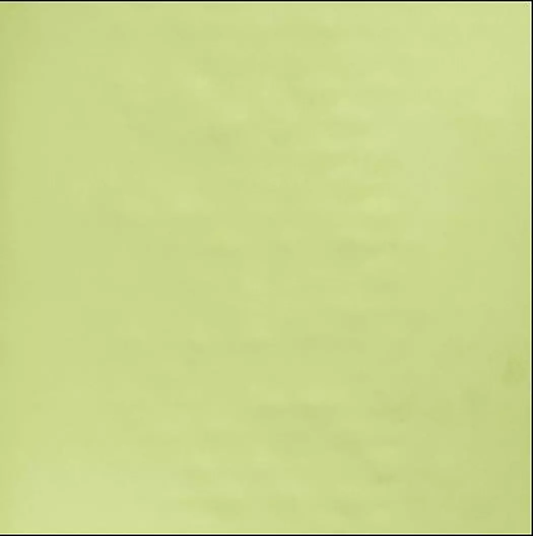 Spannbettlaken Jersey 100 x 200 cm