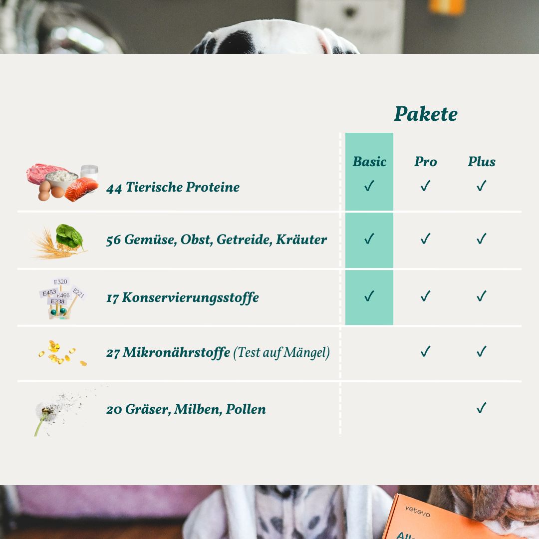 Allergietest Basic Hund