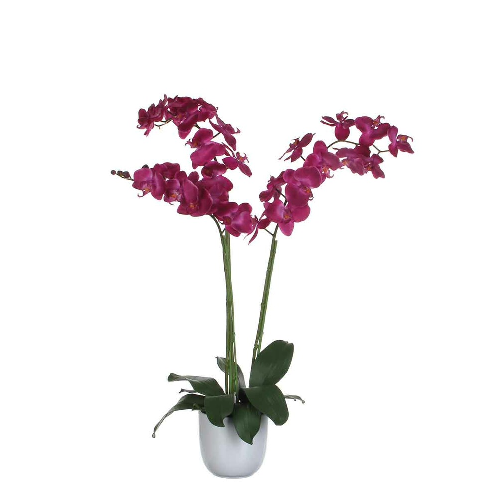 Mica decorations fleur artificielle phalaenopsis - 53x53x100 cm - pe - blanc