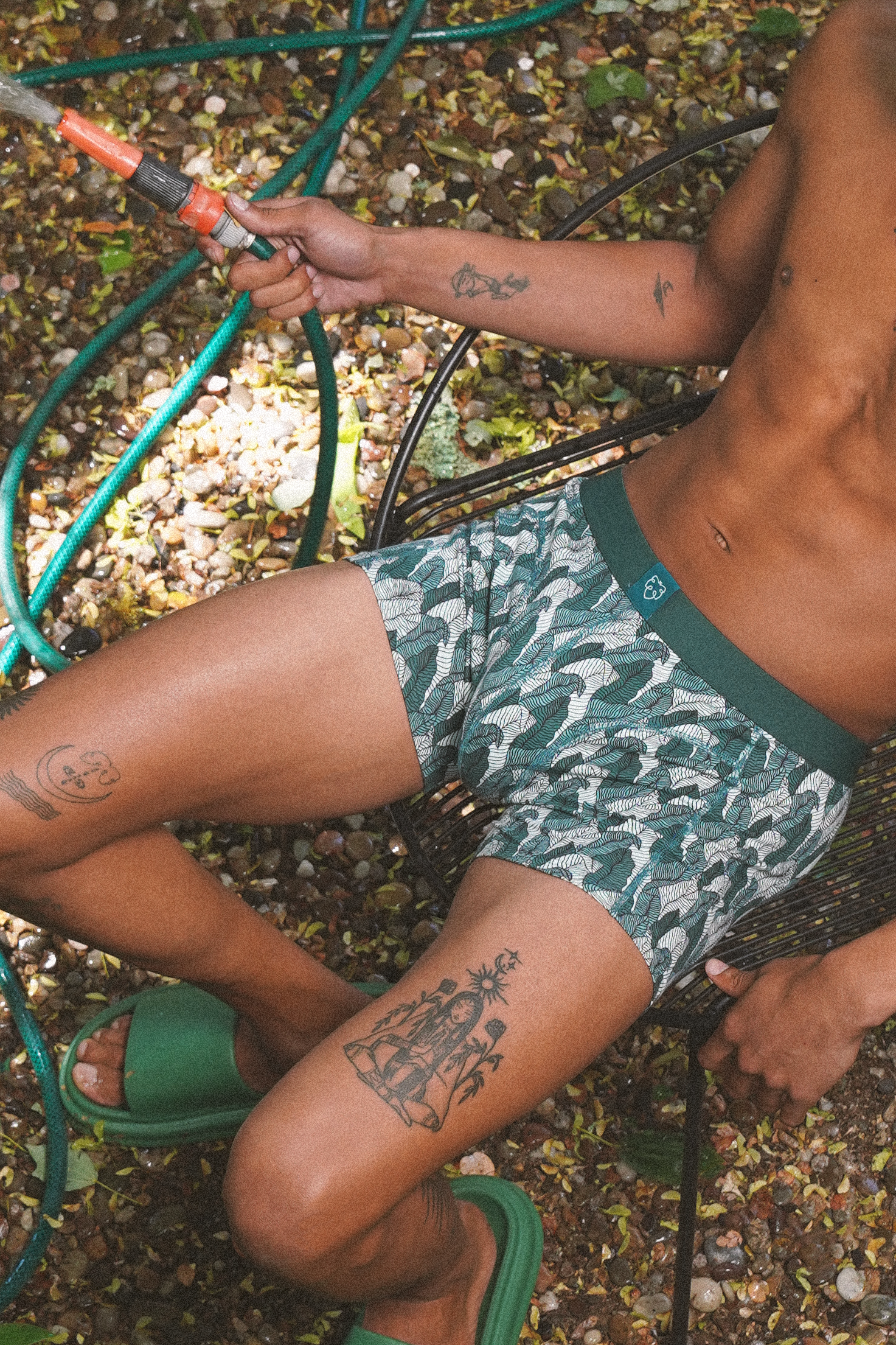 Palm Leaves