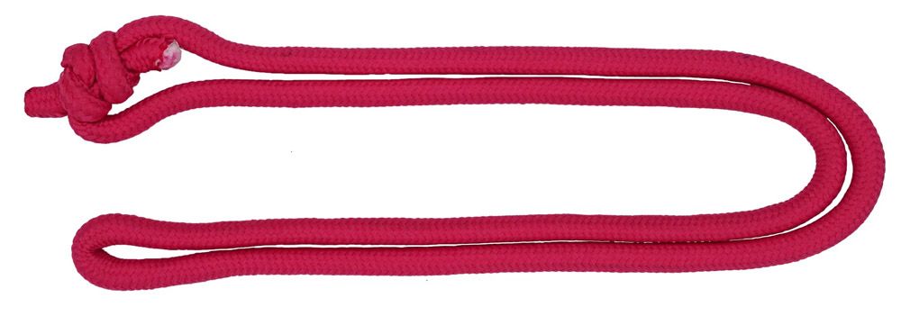 Kids Ride Shotgun  Paracord Ersatz für Tow Rope kaufen | Bike-Discount