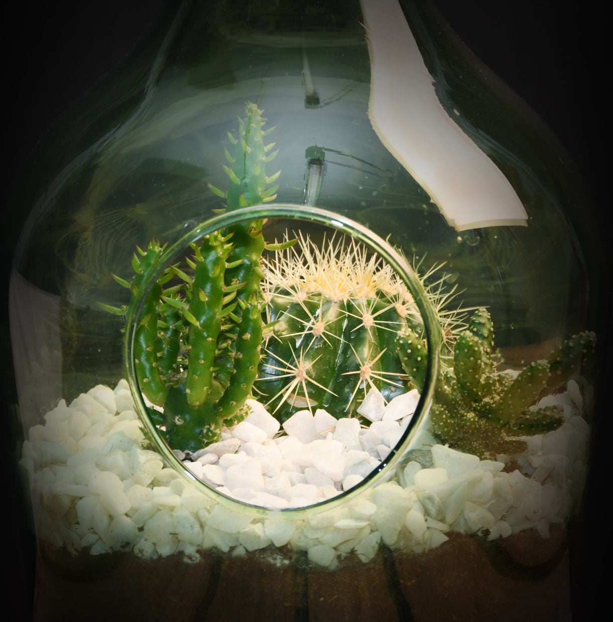 Esschert Design plant terrarium set 3 L