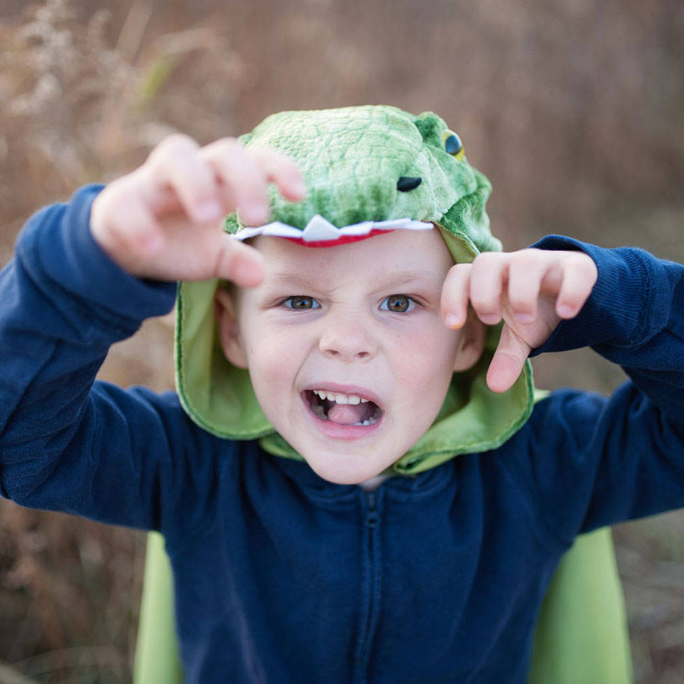 Cape Dinosaurus T-rex, 4-5 jaar