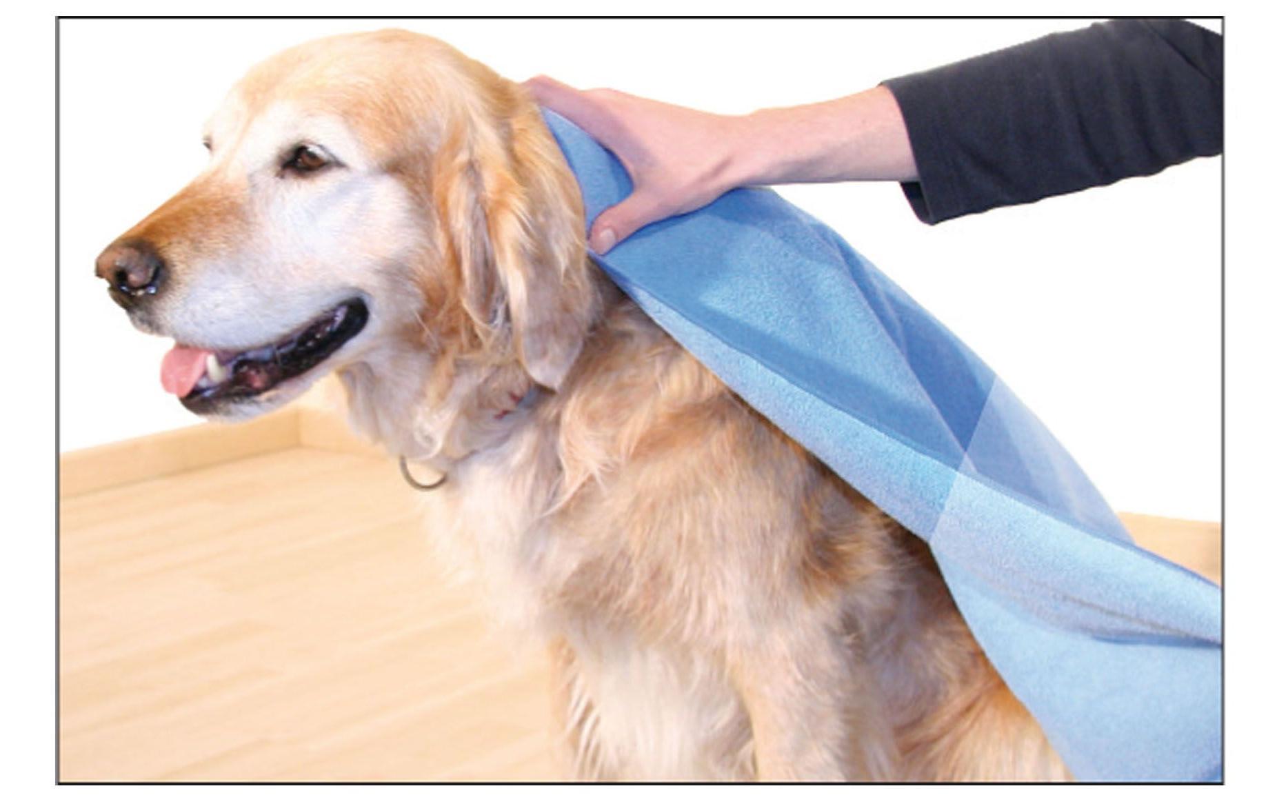 Handtuch Micro S, BlauMikrofasertuch für Hunde