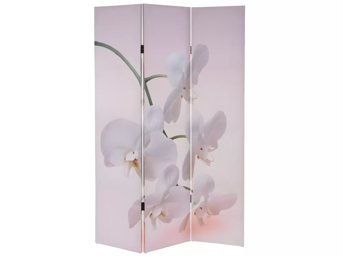 Paravent 3 panneaux pans 120 x 2.5 x 180 cm PAR04015