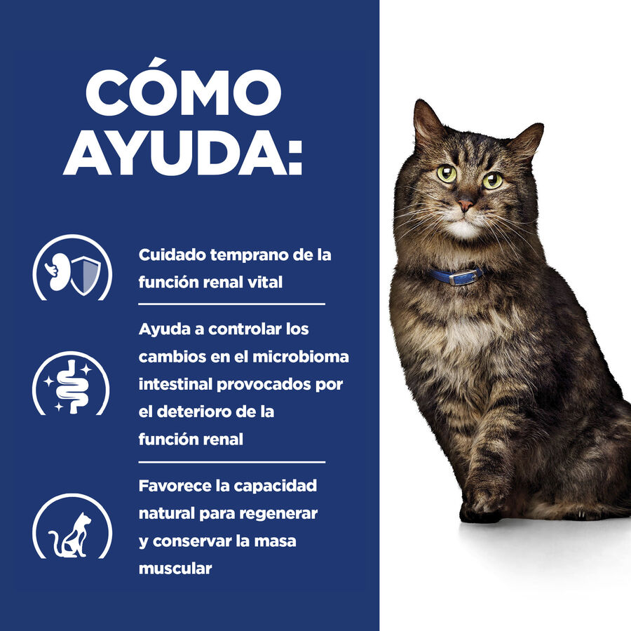 Hill's Prescription Diet Early Stage Kidney Care k/d Sachê de Frango ao Molho para Gatos