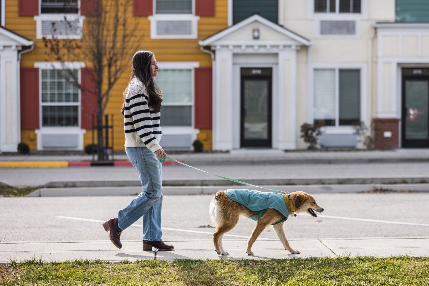 Veste matelassée stumptown™ résistant aux intempéries avec passage pour laisse. Couleur: river rock green (vert sauge), taille: s