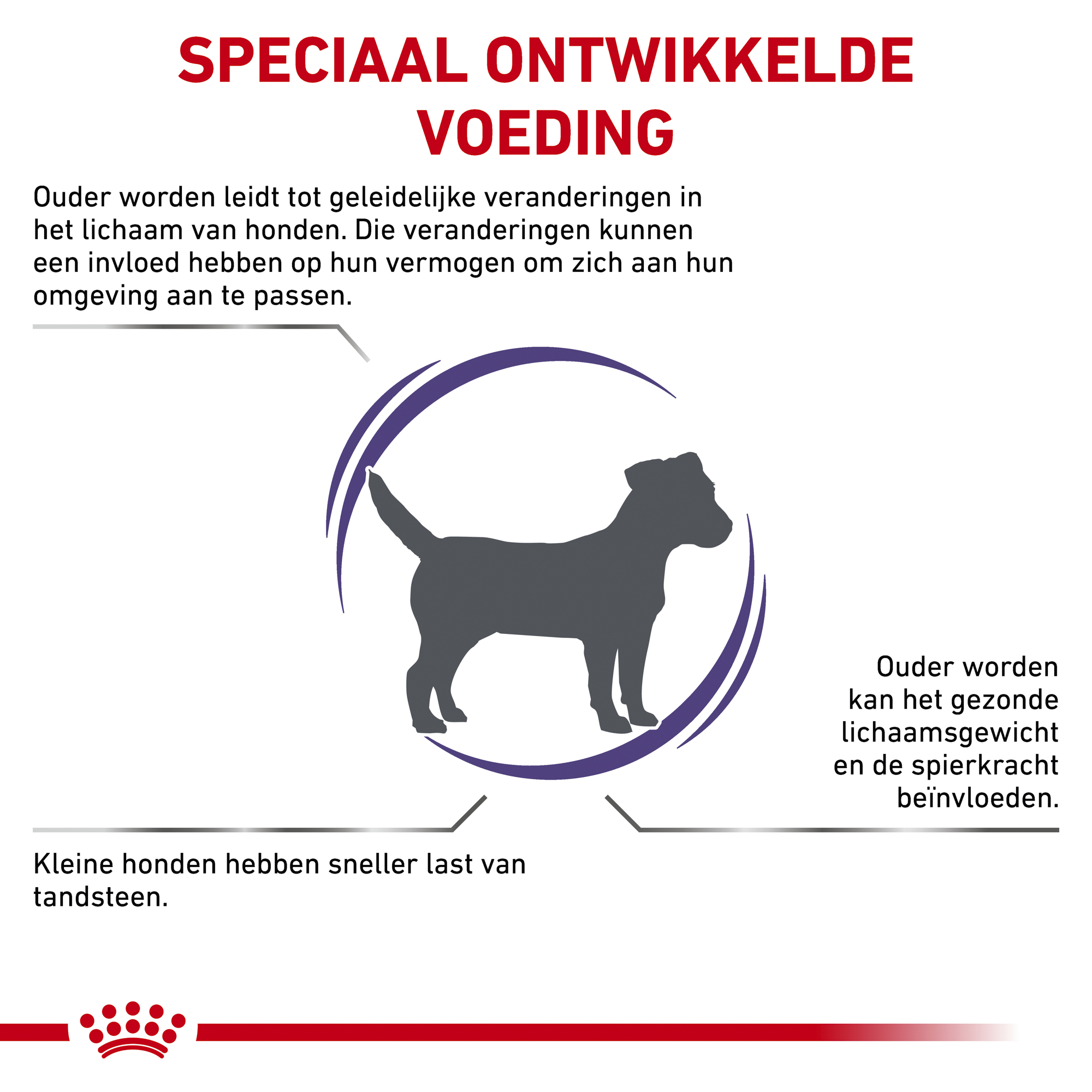 Royal Canin VCN - Mature Consult Small Dog