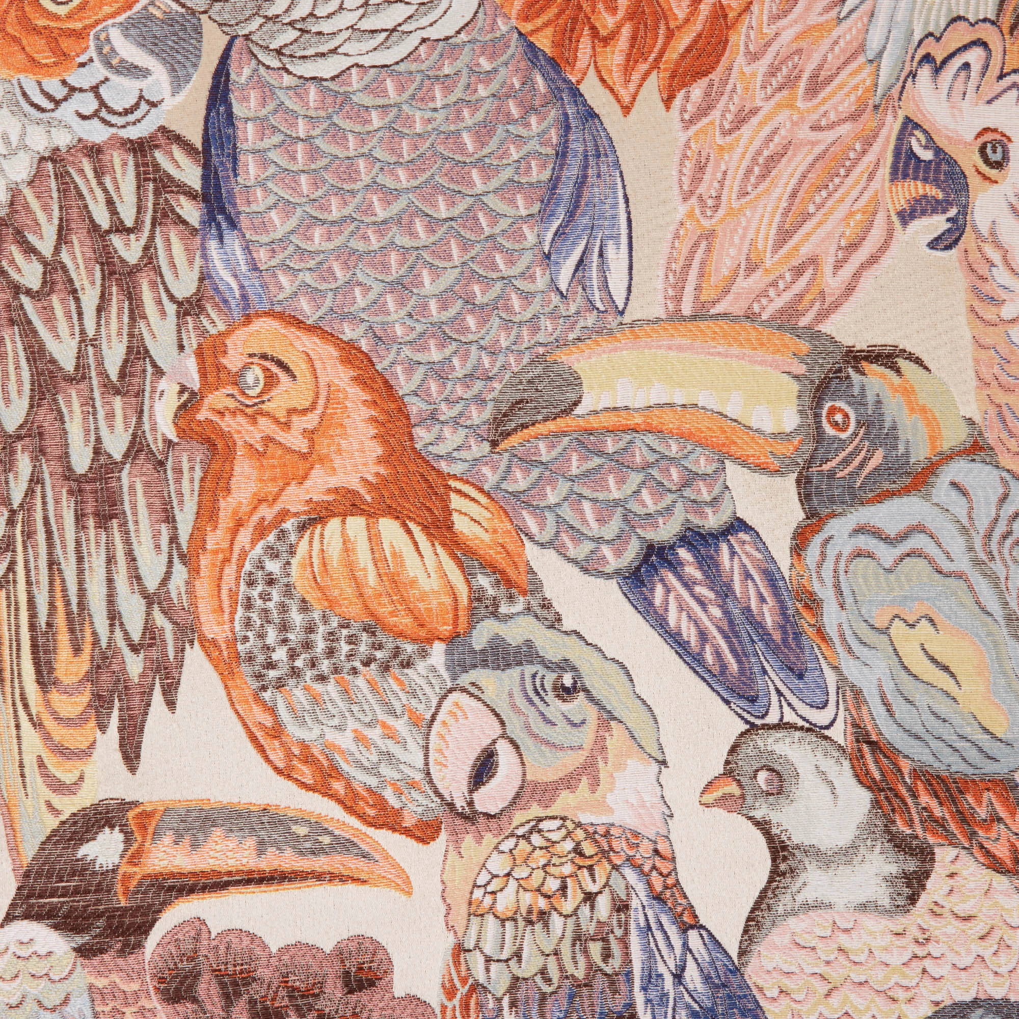 JUNGLE BIRDS - Housse de coussin | Orange
