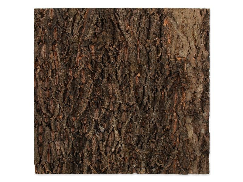 Repti Planet Kork-Rück Wand 58.5 x 56 x 2 cm Terrarienrückwand aus Kork