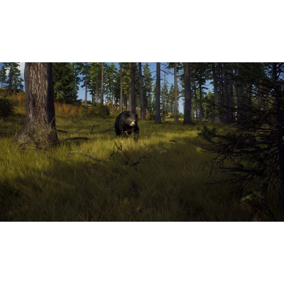 Way of the Hunter- Xbox Series X