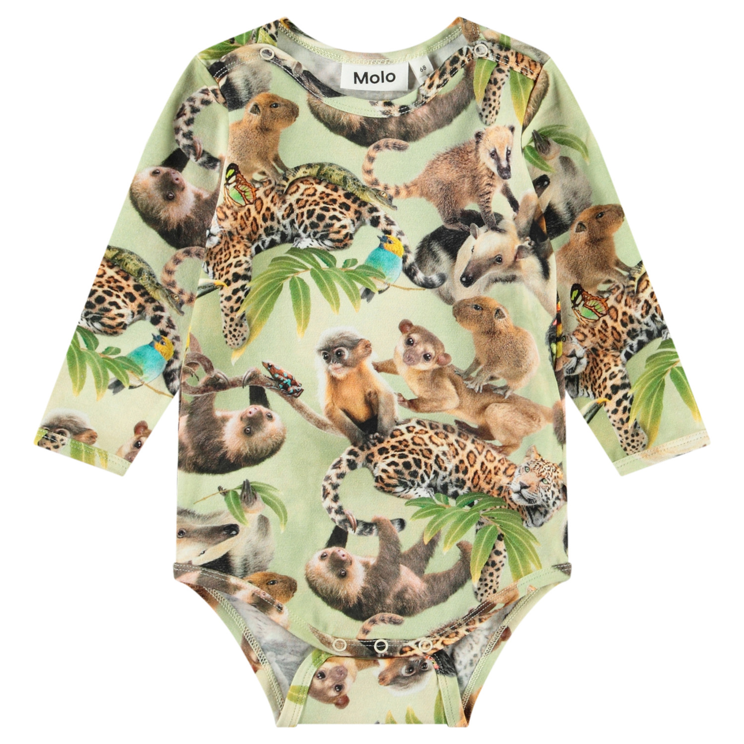 Foss - Jungle Cubs
