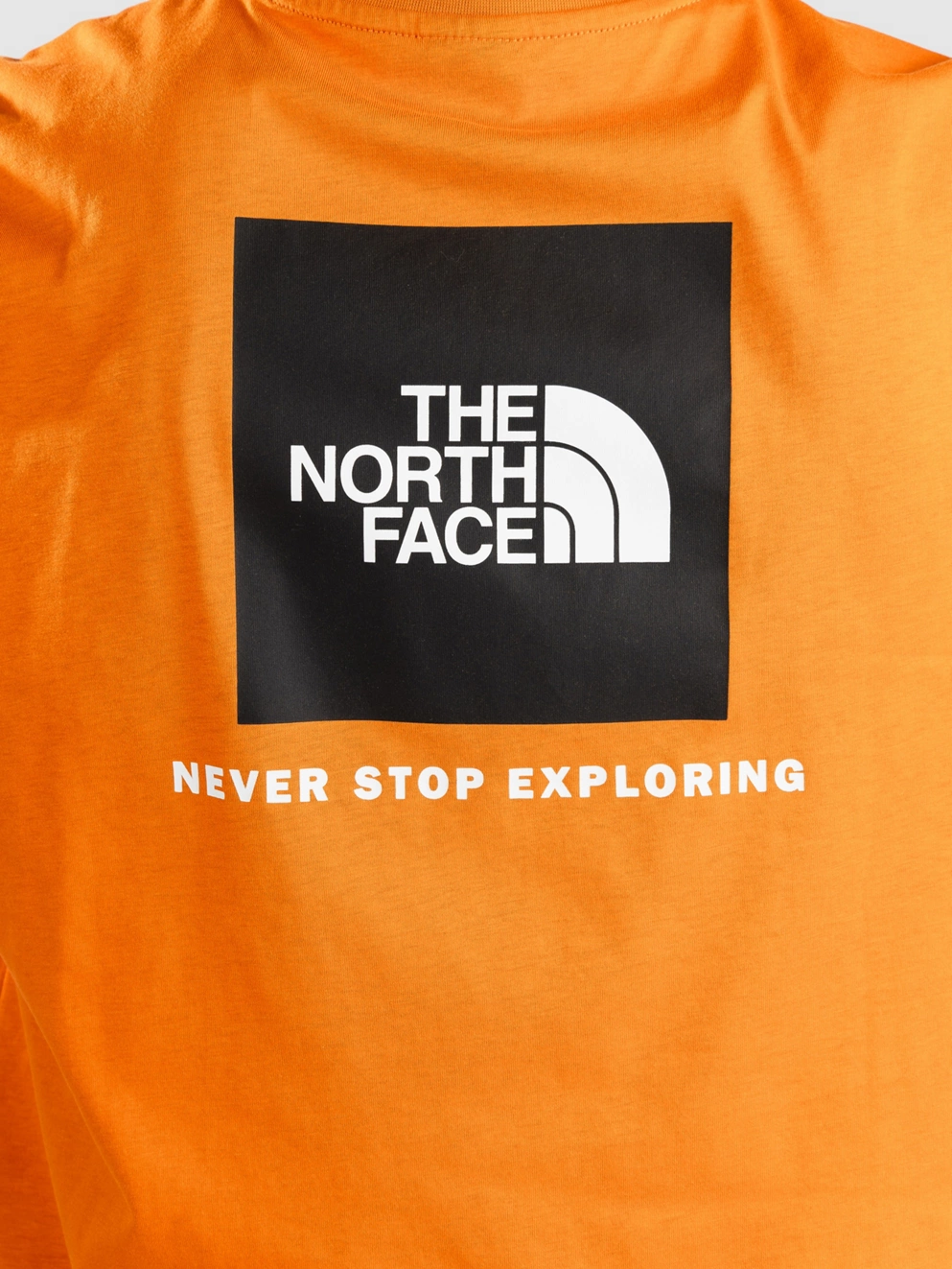 THE NORTH FACE Redbox T-Shirt desert rust