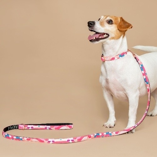 Coleira para cães Baona rosa, feita de nylon reciclado.