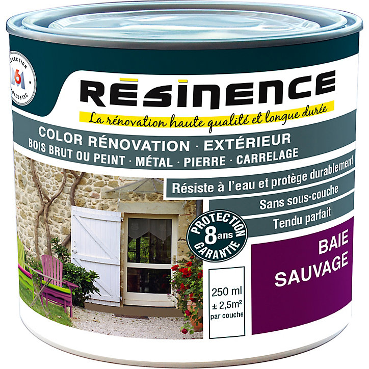 Résine de rénovation extérieur multi-support baie sauvage satin Résine extérieur nce 0,25L