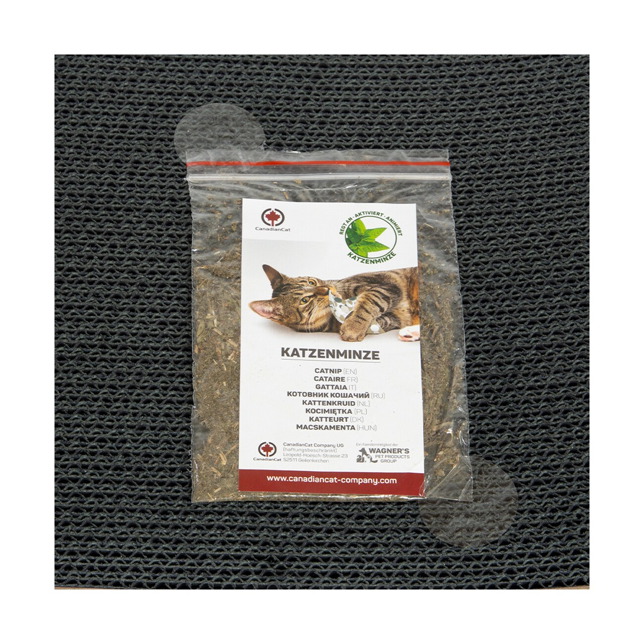 Canadian Cat Company Kratzbrett Kratzbrett Set Satellite 2.0 + Tasse schwarz