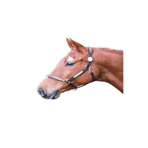 Cabresto para cavalo Aviemore em couro bege com placa de identificação