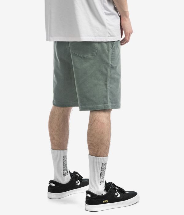 Iriedaily Corvin Shorts (mintgrey)