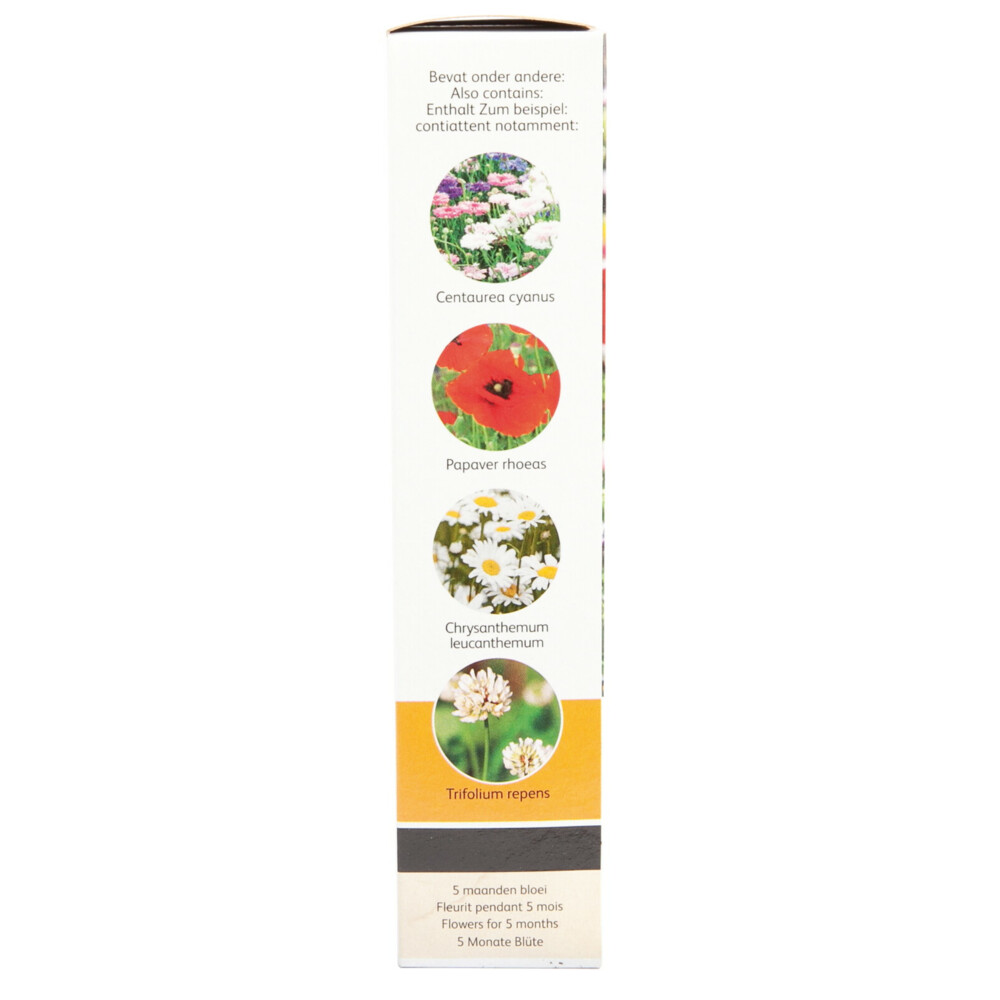Buzzy Friendly Flowers 15 m² Bermenmengsel