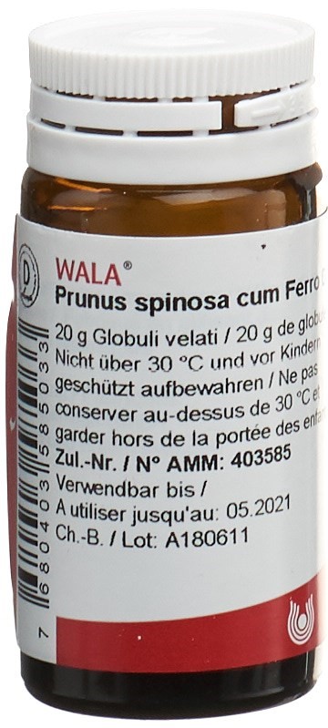 WALA Prunus spinosa ferm c Ferro Glob 3 D Fl 20 g