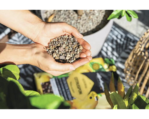 Citrus Pon Lechuza 12l neutraal