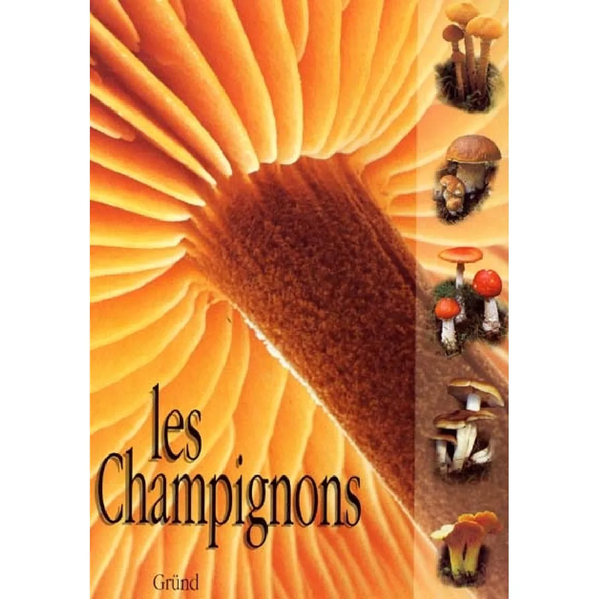 Les champignons · Occasion