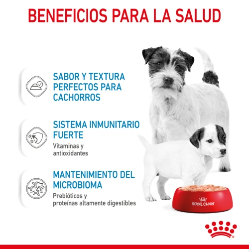Latas de mousse Royal Canin Starter Mommy & Baby para cães