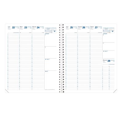 Agenda Impala Eurequart - 1 semaine sur 2 pages - 24 x 30 cm - bleu océan - Quo Vadis