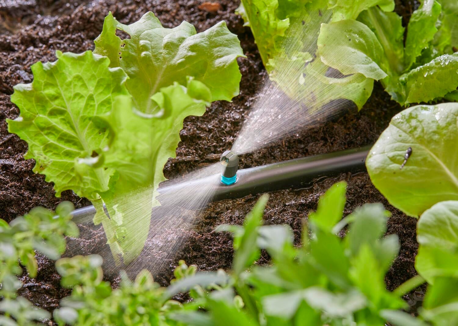 Gardena Micro Drip systeem vlaksproeier 5 stuks