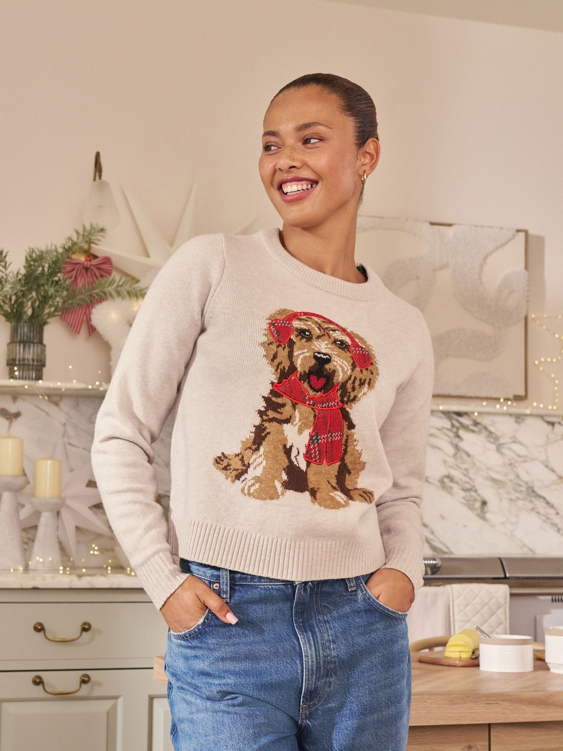 Crème ruitmotief hondengrafiek - Matching Family kersttrui