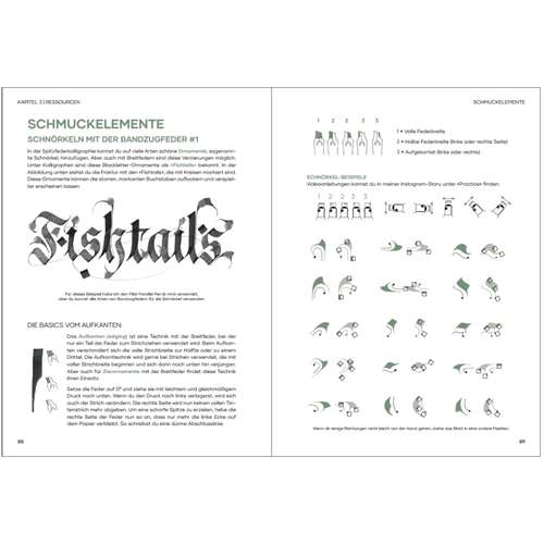 Praxisbuch Kalligraphie Alphabete