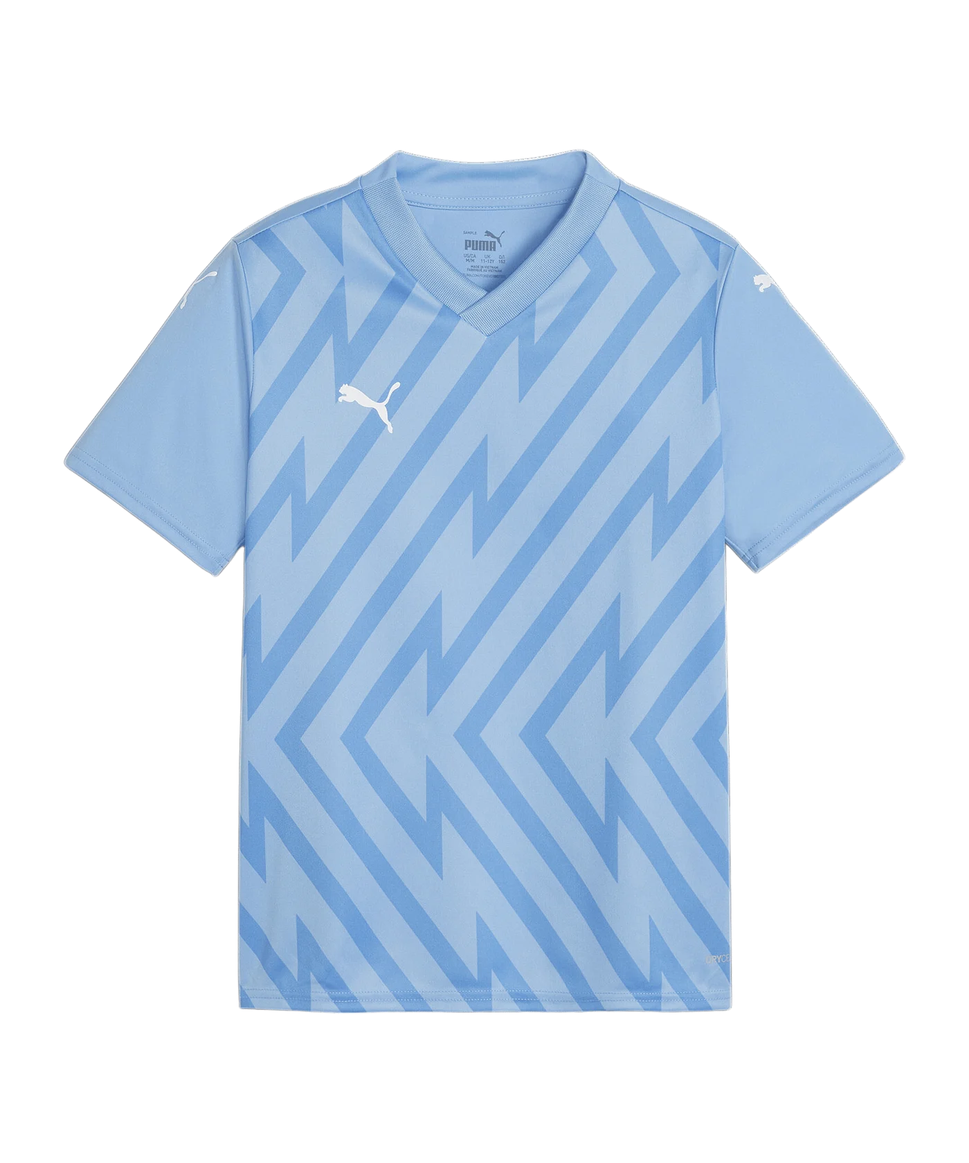 PUMA teamGLORY Trikot Kids Blau Weiss Blau F18