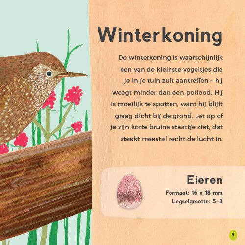 Uitgeverij lemniscaat mijn eerste vogelboek