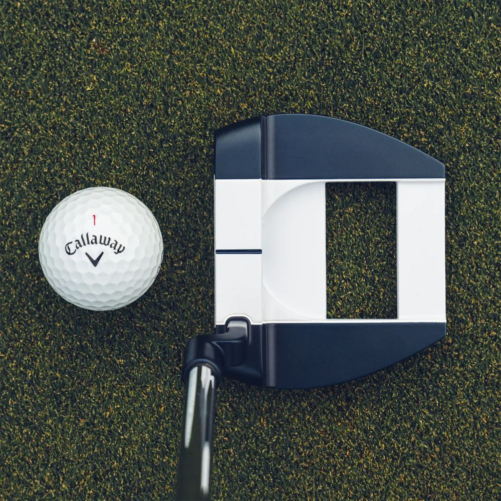 Ai-ONE Jailbird Mini Versa 90 CH Putter