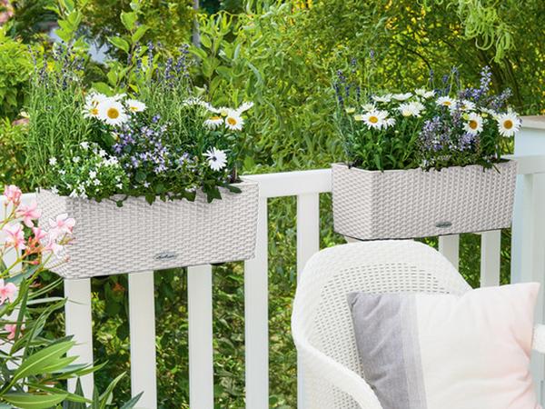 LECHUZA® Kunststoff-Kasten Balconera Cottage,