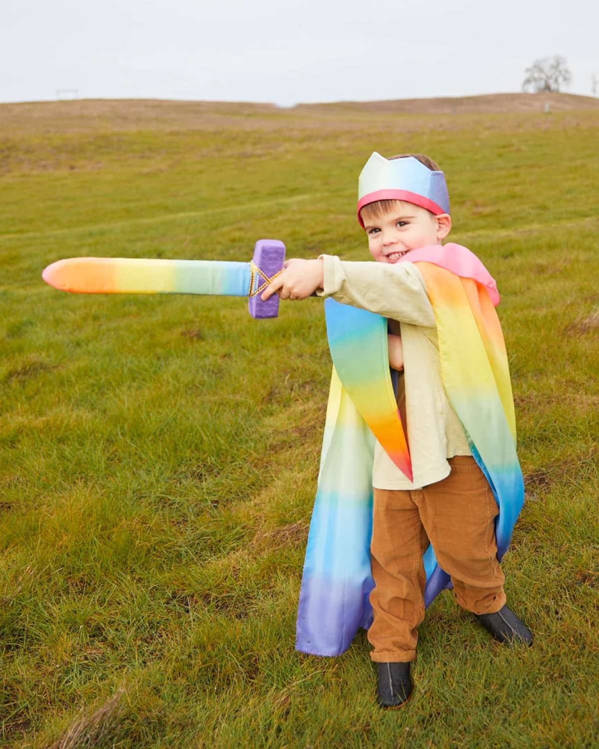Lekesverd av skum og silke – 43cm | Rainbow Sword