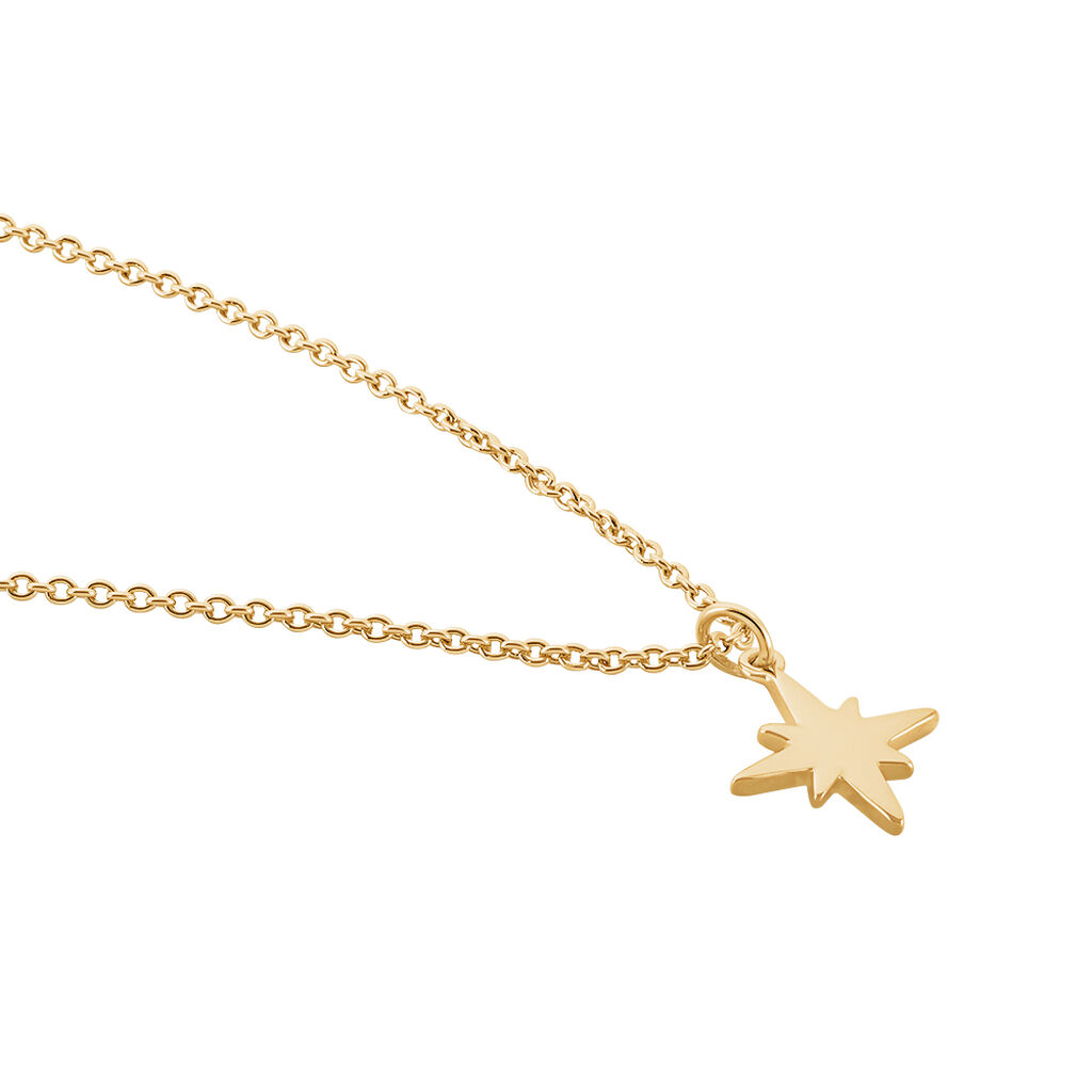 Collier Alisee Plaqué Or Jaune