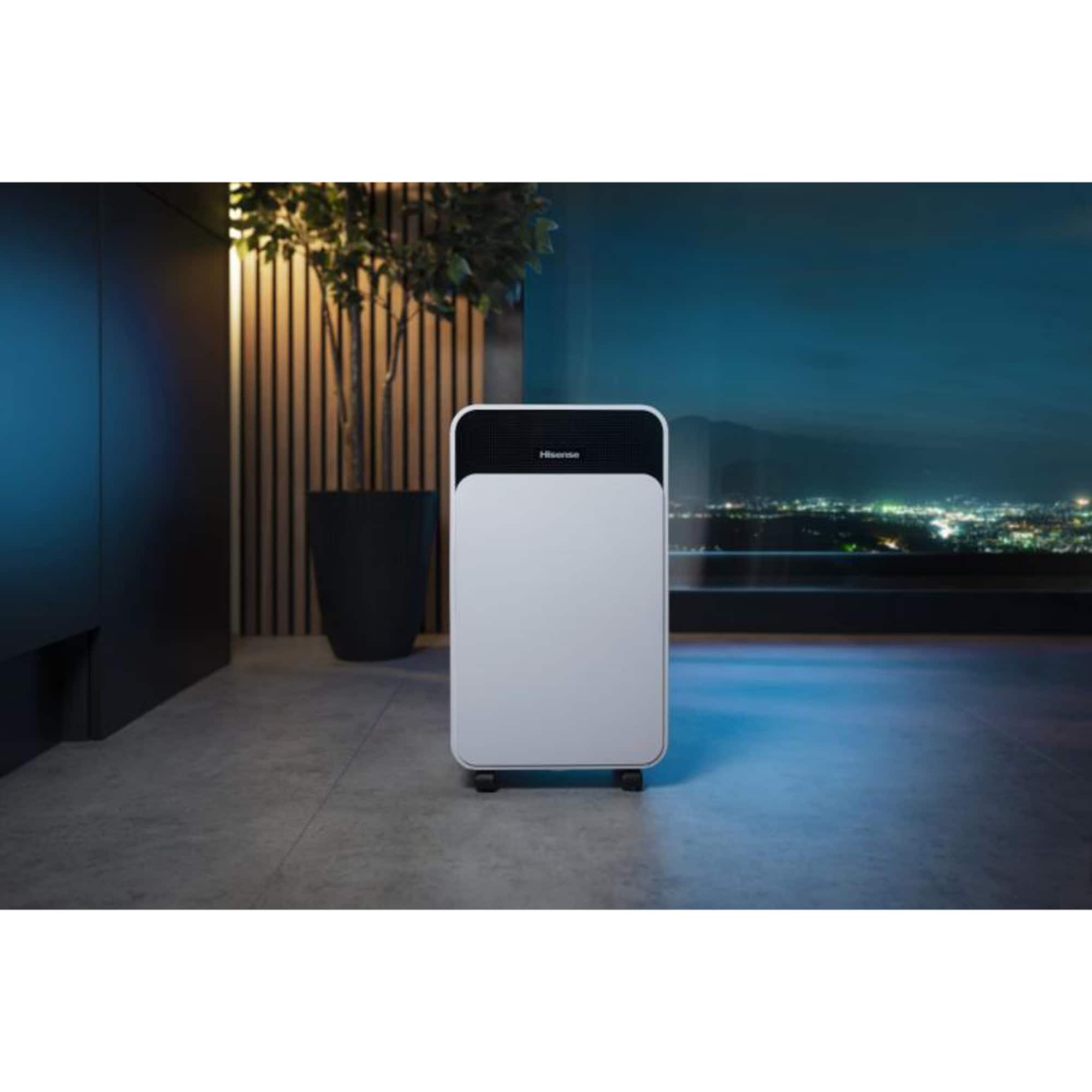 Hisense Luftentfeuchter D12CW