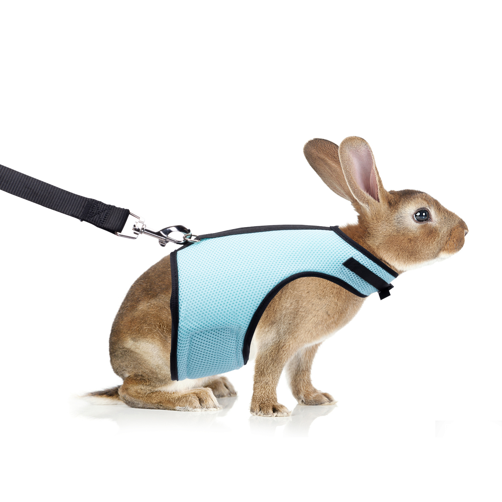 Colete para coelho de pequeno porte Noble Mink com cordão ajustável e fivela, em malha respirável, tamanho G.