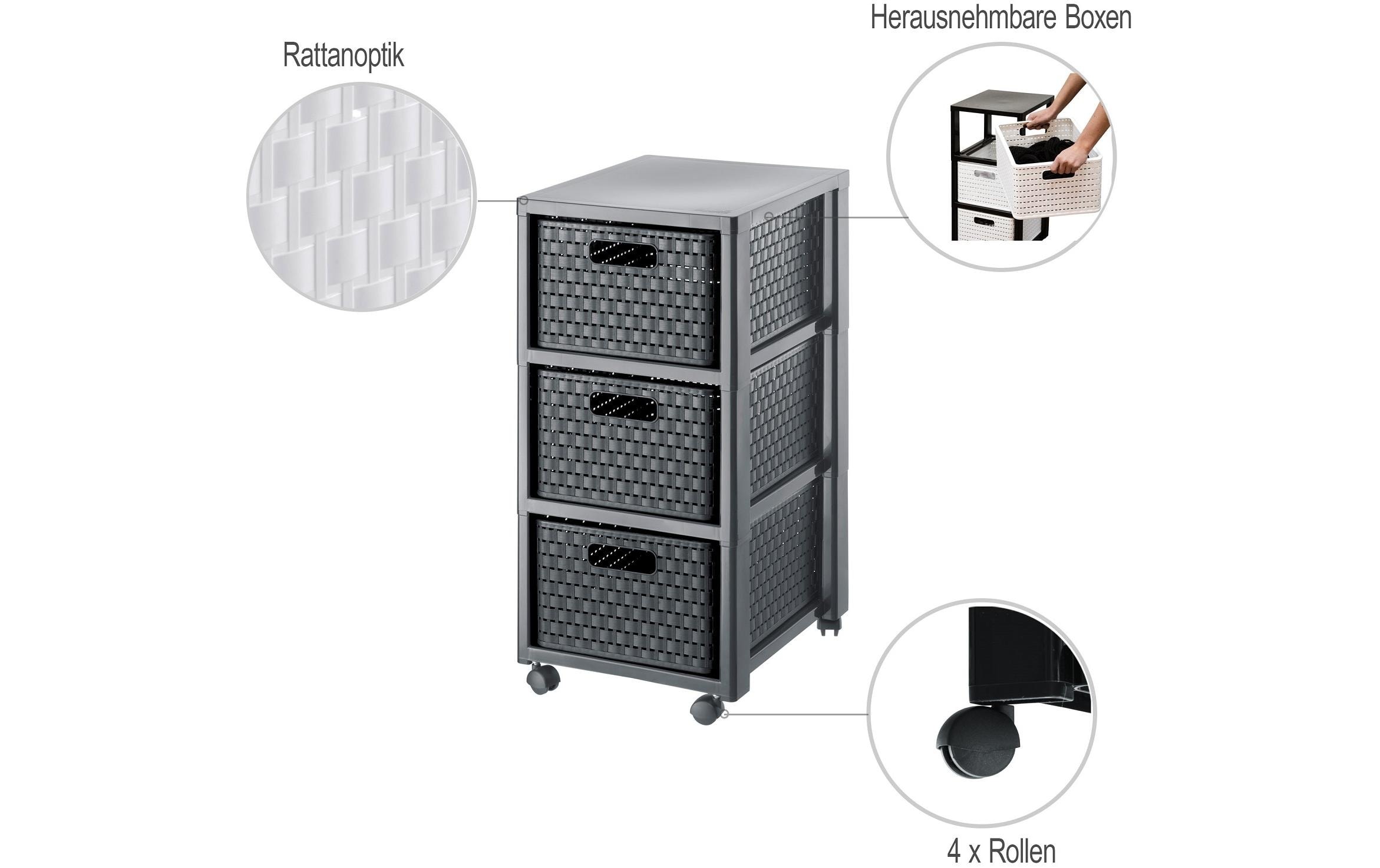 ROTHO Aufbewahrungsbox »Country 3xA4 mit Rollen«