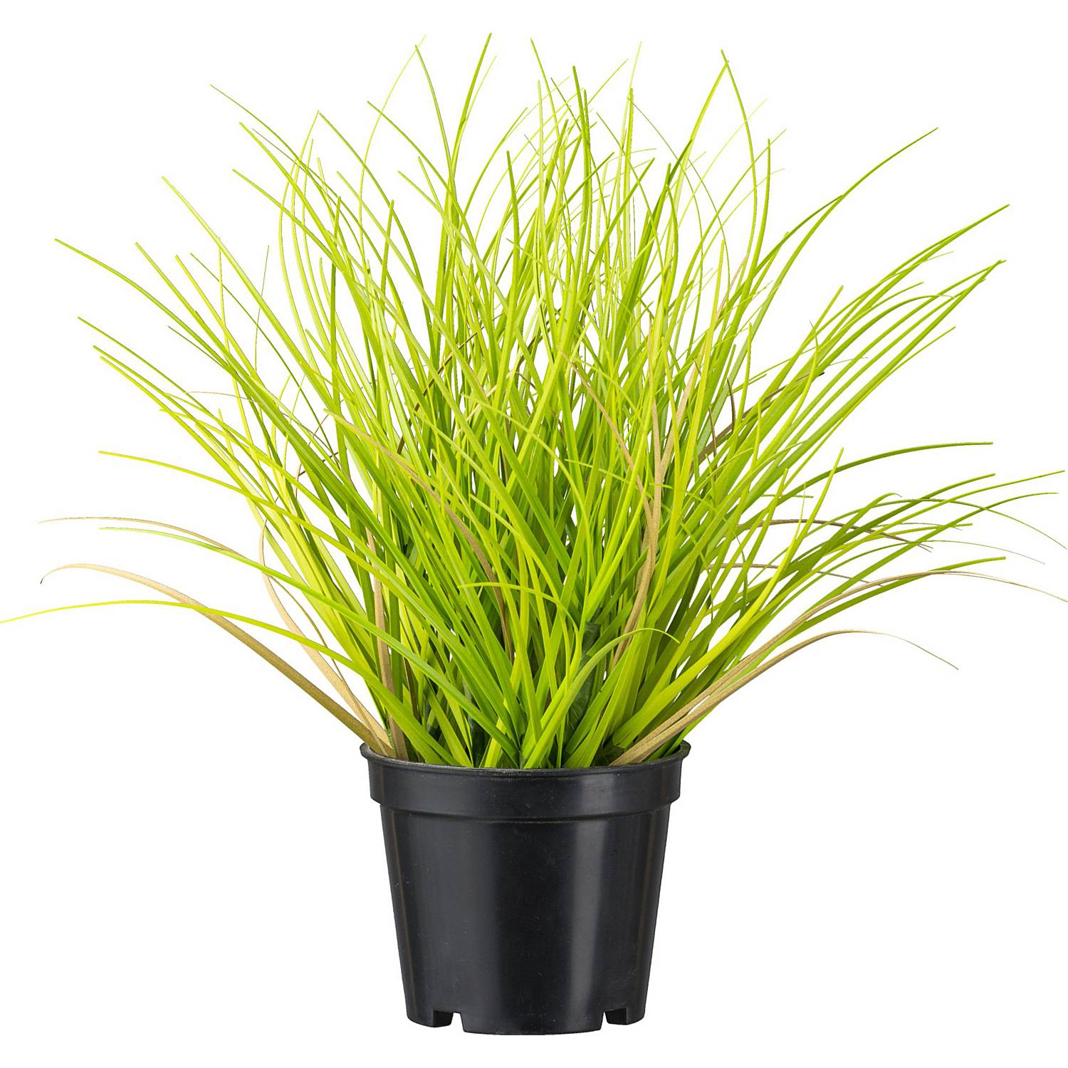 Kunstpflanze Gras im 2er-Set
