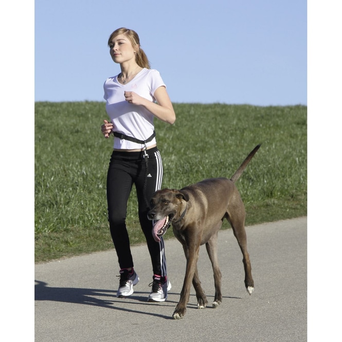 Jollypaw - Hundezubehör - Bauchgurt mit Leine - schwarz