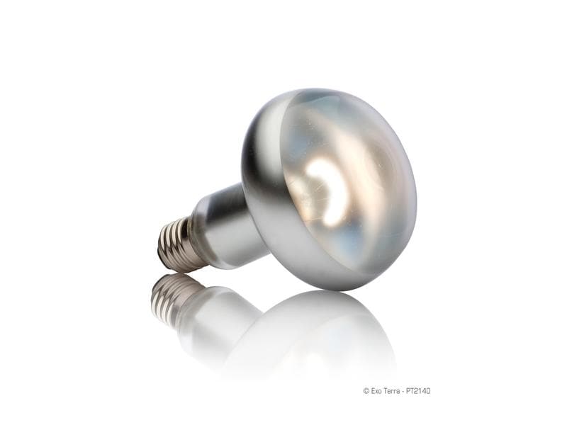 Exo Terra Terrarienlampe Intense Basking Spot E27, R30/150W Wärmespotlampe