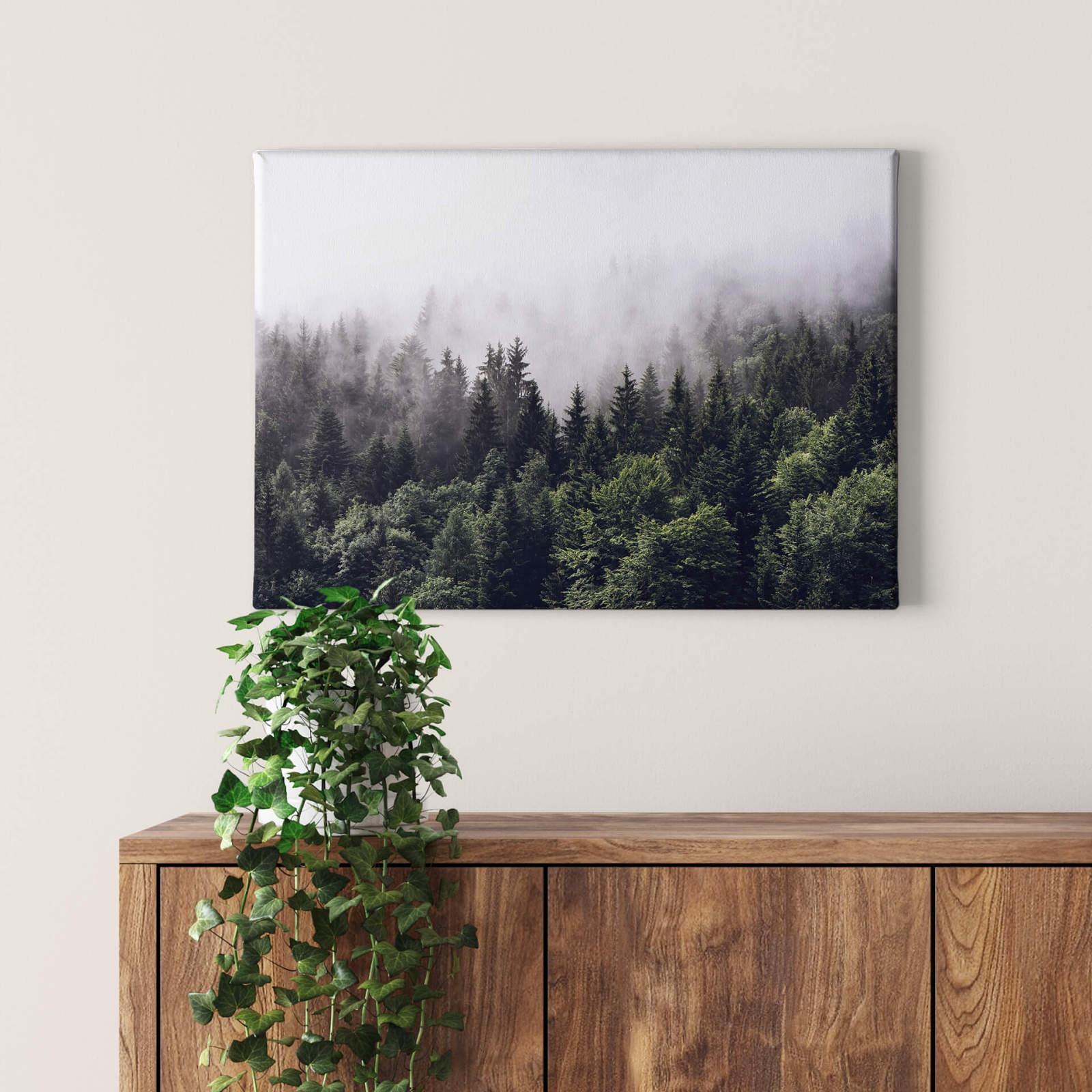 Leinwandbild NEBELIGER WALD - grün-weiß - 70x50 cm