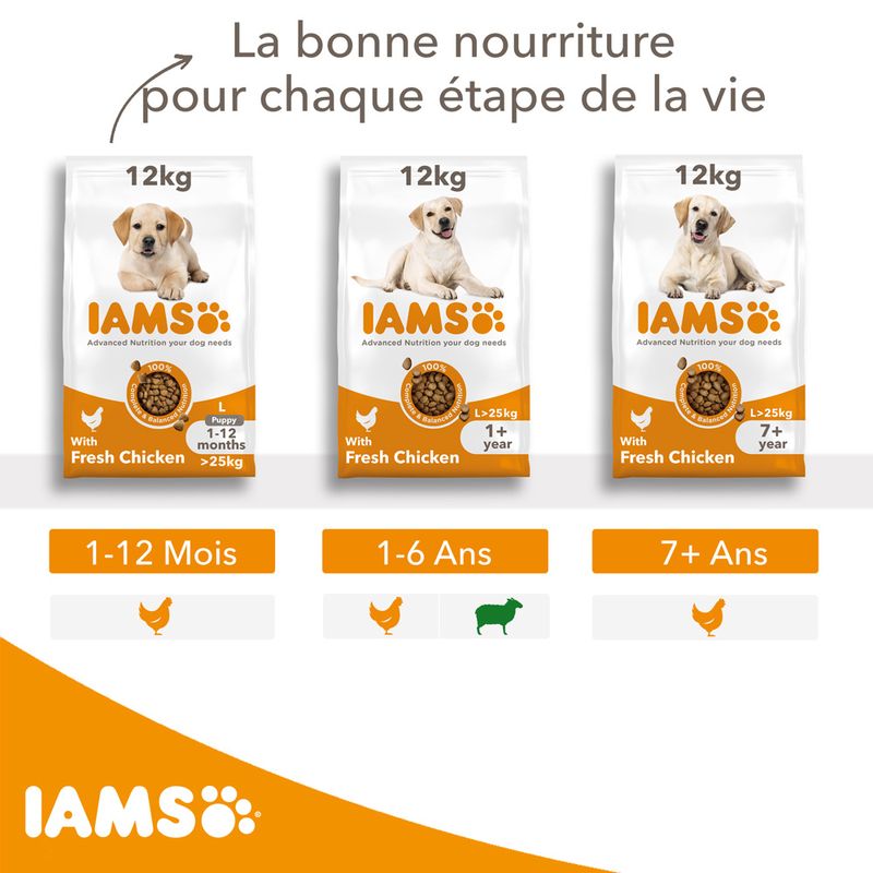 IAMS Advanced Nutrition Senior Large poulet