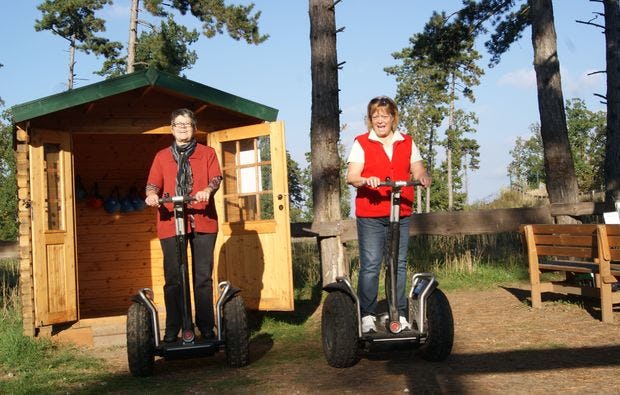 3D Bogenschießen und Waldklettergarten in Gänserndorf als Geschenk