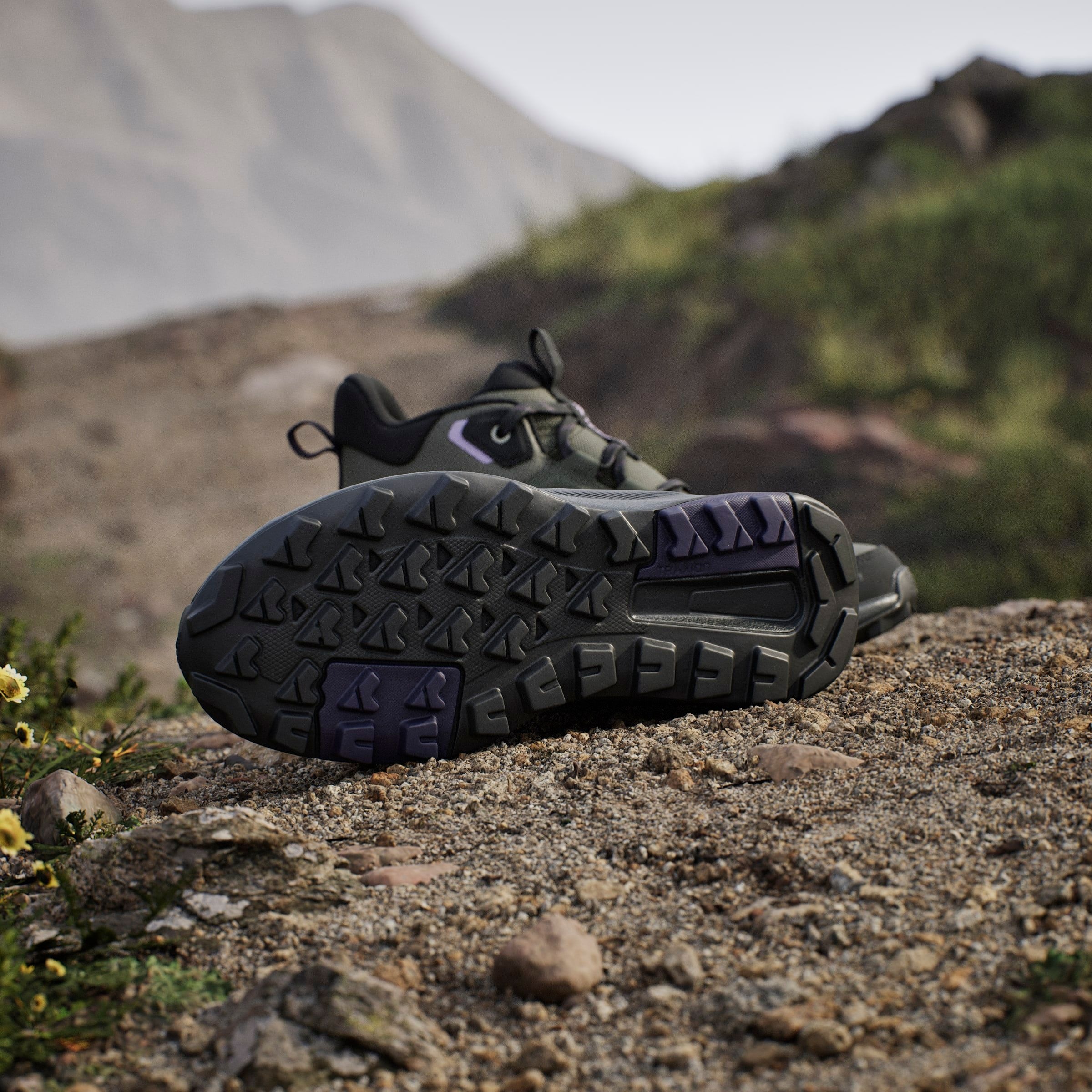 adidas TERREX Wanderschuh »TERREX ANYLANDER MID RAIN.RDY«  wasserdicht