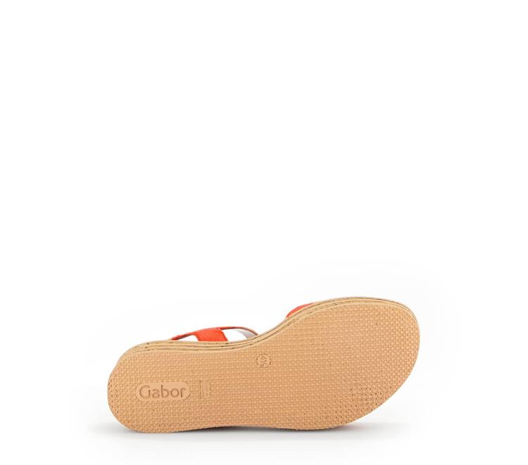 Gabor 44.553 pumpkin