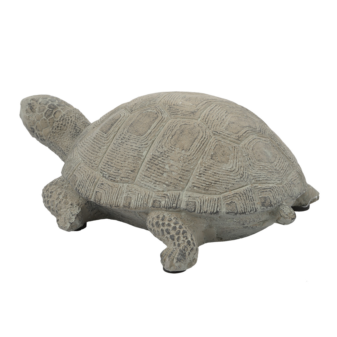 My Home Dekofigur Schildkröte aus Zement graugrün