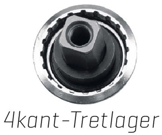 KURBELSCHRAUBEN M8x15mm für 4kant-Tretlager mit Staubkappe  silber schwarz